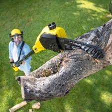 Best Aeration Services  in Miller, SD